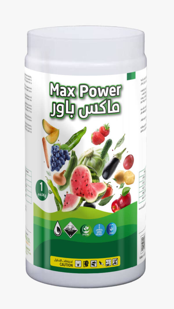 ماكس باور